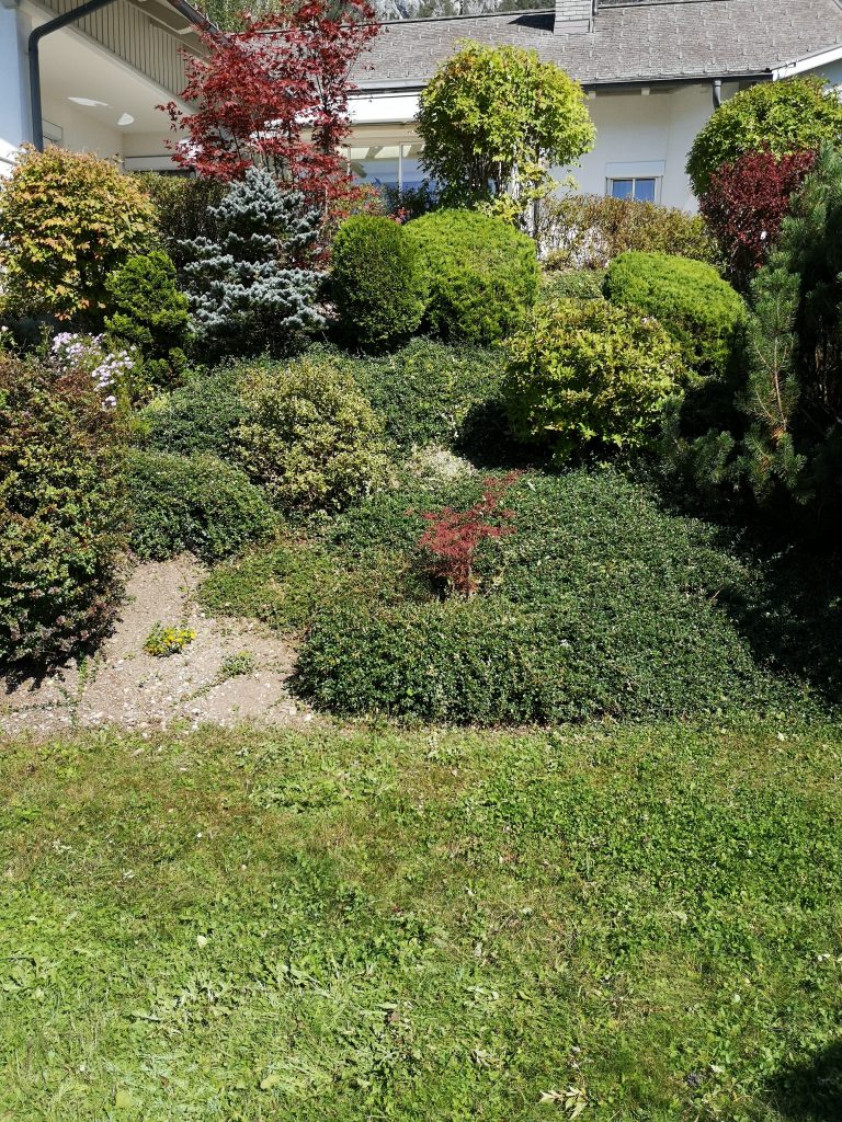My Garden - Gartengestaltung